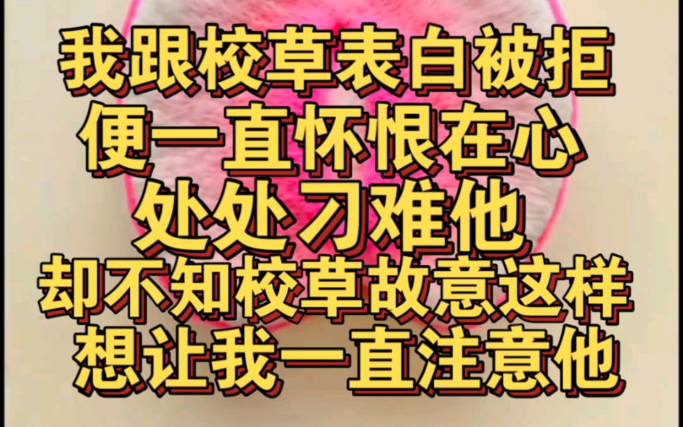 我跟校草表白被拒后一直怀恨在心,处处刁难他,却不知校草是想让我一直注意他哔哩哔哩bilibili