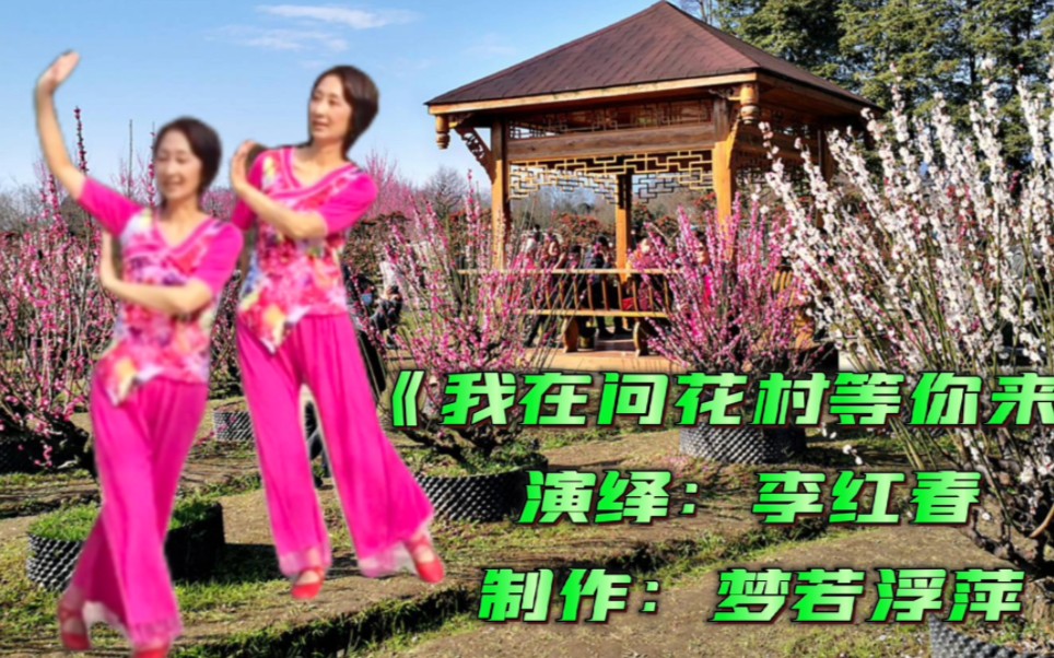 [图]梦里的问花村神奇的世外桃源《我在问花村等你来》一起赏花观景