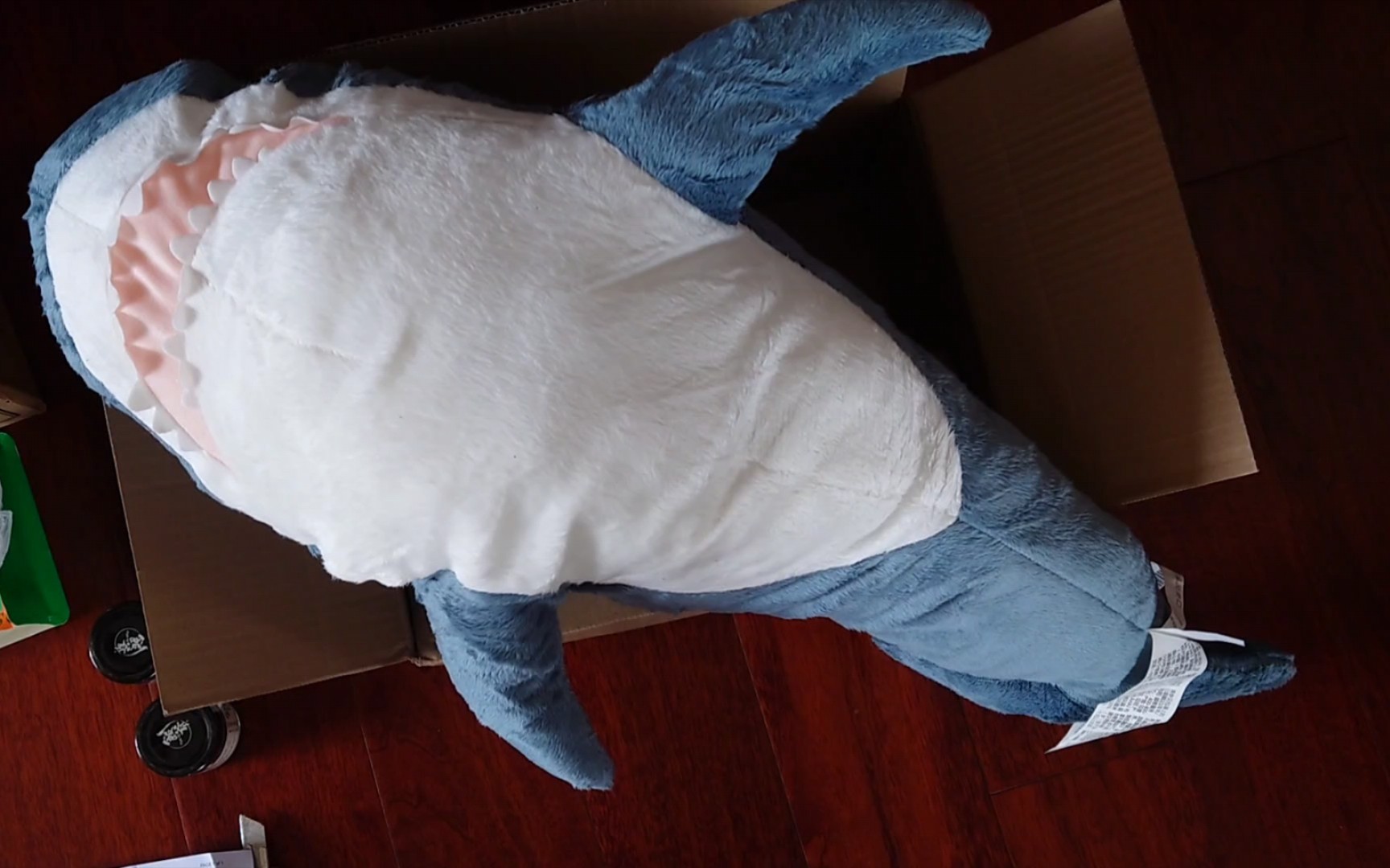 活动  宜家鲨鱼开箱|鲨鲨来了我也开始养鲨生活了