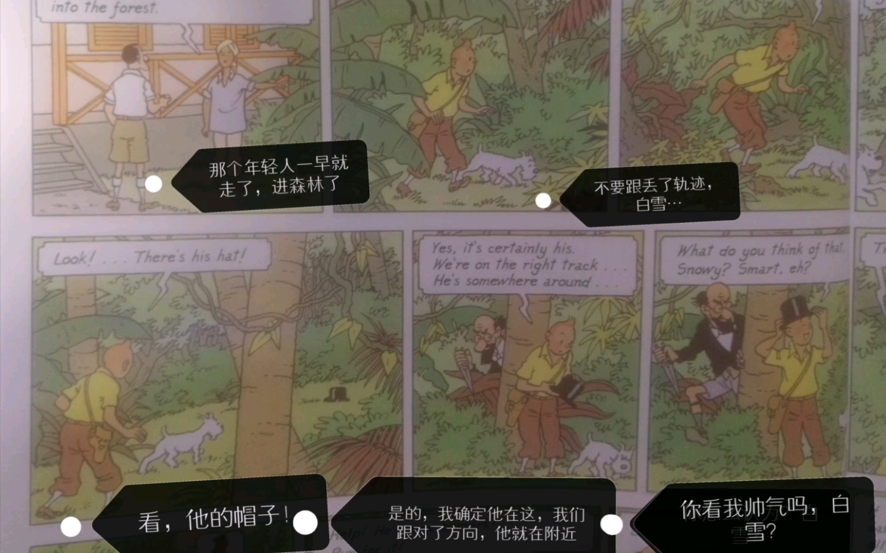 [图]丁丁历险记彩色英文版漫画个人翻译，法老的雪茄（十一）又疯一个