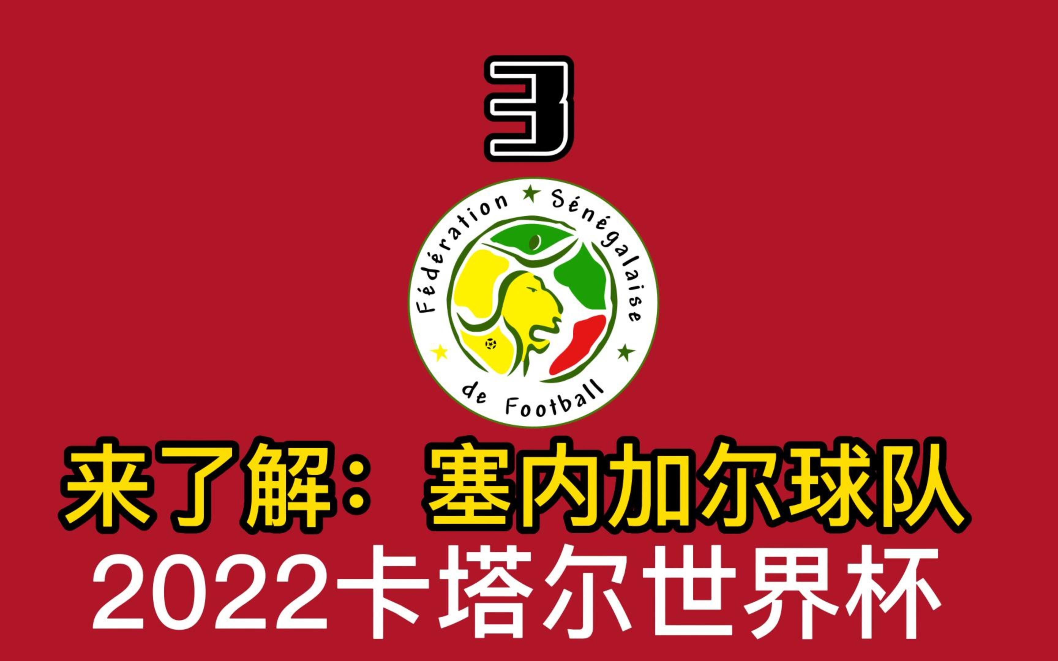 2022卡塔尔世界杯:A组:塞内加尔球队,球队详情了解哔哩哔哩bilibili