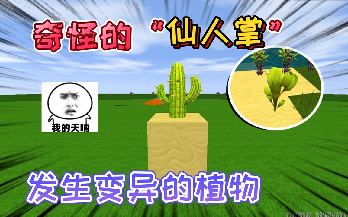 迷你世界:发生变异的"仙人掌"它是奇怪的植物,已经被官方删除_哔哩