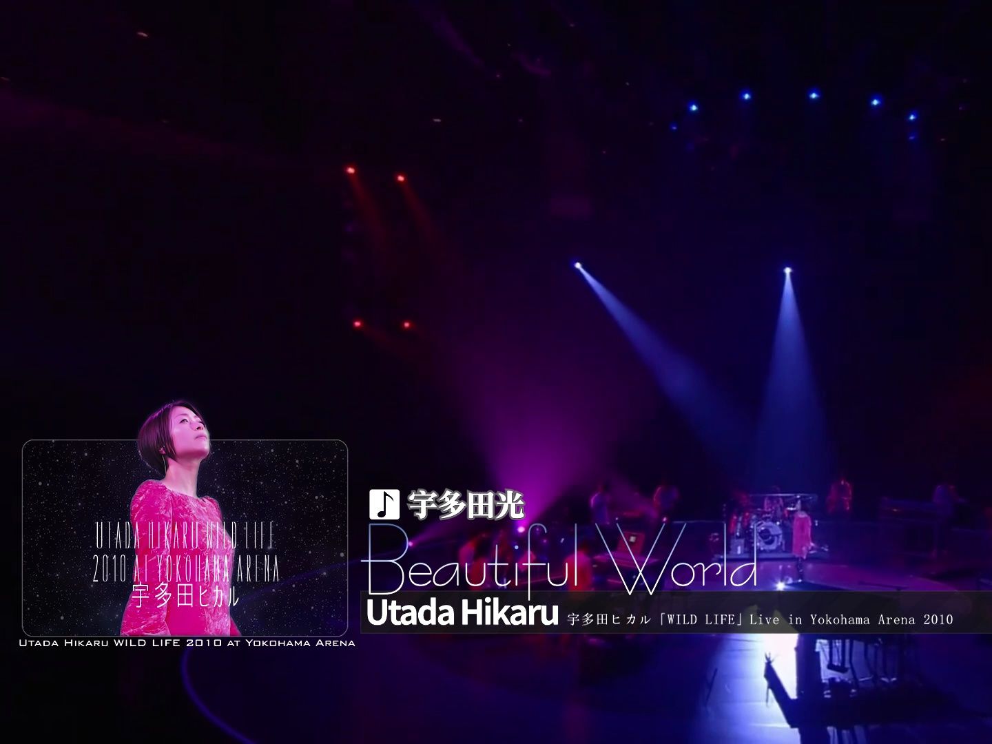 [图]亚洲创作天后【宇多田光】神级现场 2010暂退演唱会演唱名曲  （Beautiful World）    Utada Hikaru Wild Life 2010