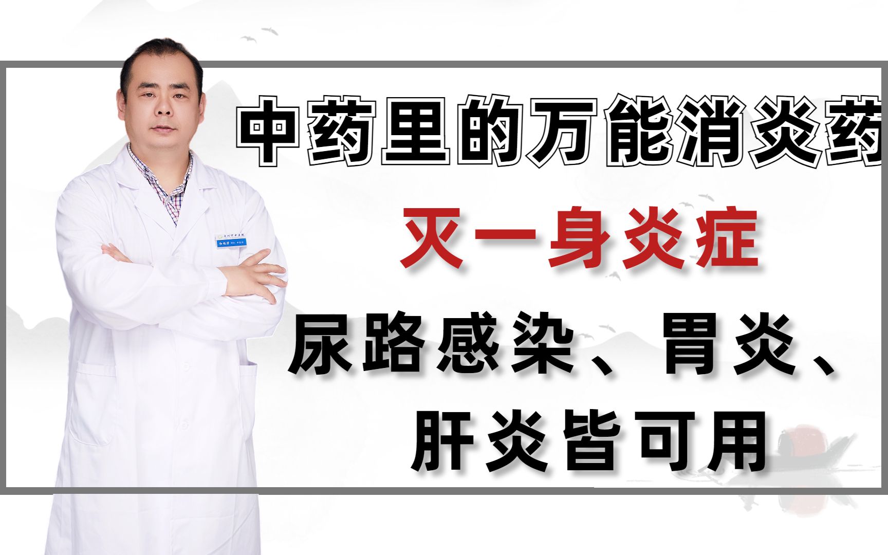 中药里的万能消炎药,灭一身炎症,尿路感染、胃炎、肝炎皆可用!哔哩哔哩bilibili