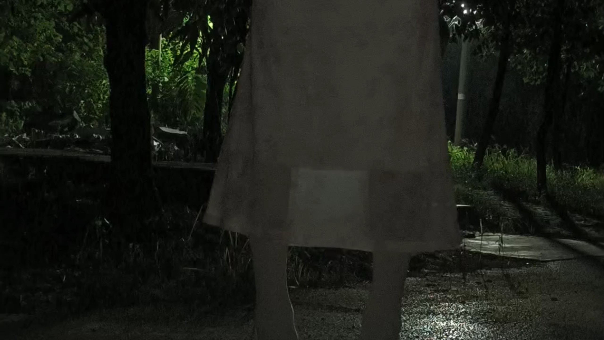 小楠娘一个人在晚上的公园哦（我回来咯，先发发库存）