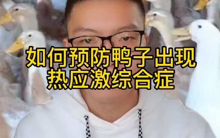 鸭子热应激什么症状 鸭子的应激反应有哪些 肉鸭热应激几天能缓解 如何预防鸭子热应激 鸭子热应激的防控哔哩哔哩bilibili