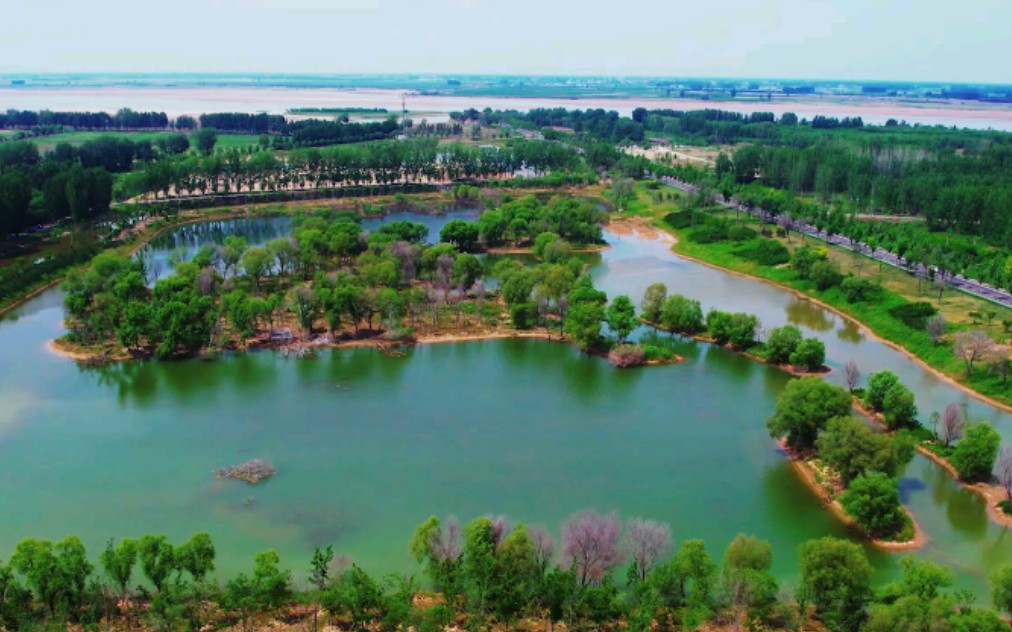 实拍郑州黄河大堤湿地公园号称郑州的千岛湖