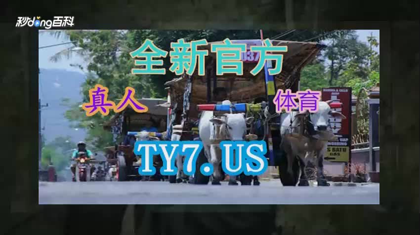 阿米网站揭秘:迈博体育源于欧洲极致