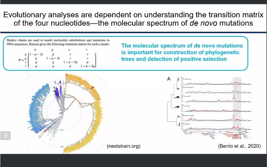 [图]钱文峰 Host-specific asymmetric accumulation of mutation types traces the origin of