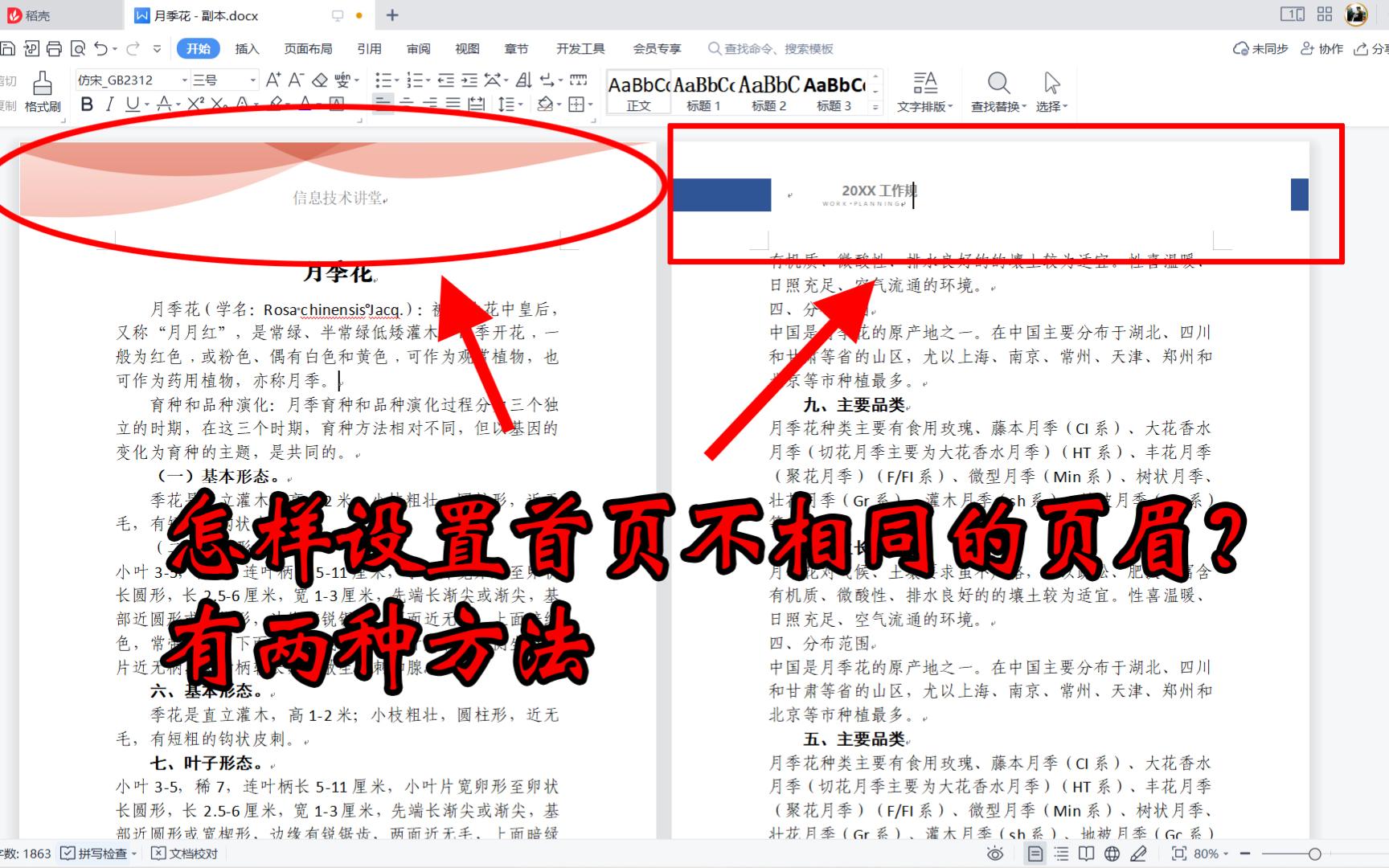 wps文字文档如何设置首页不相同的页眉?两种方法,一学就会哔哩哔哩bilibili