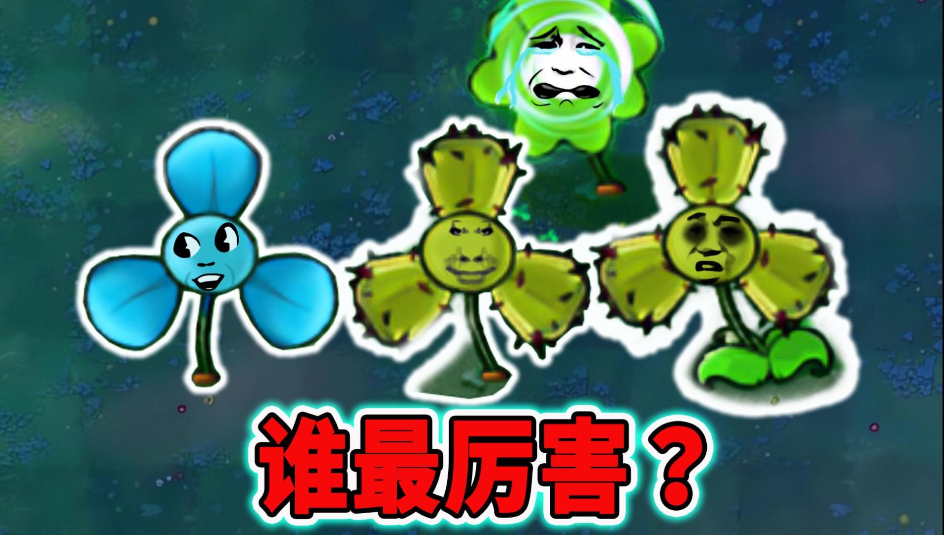 同样都是杂交三叶草究竟谁最厉害呢?