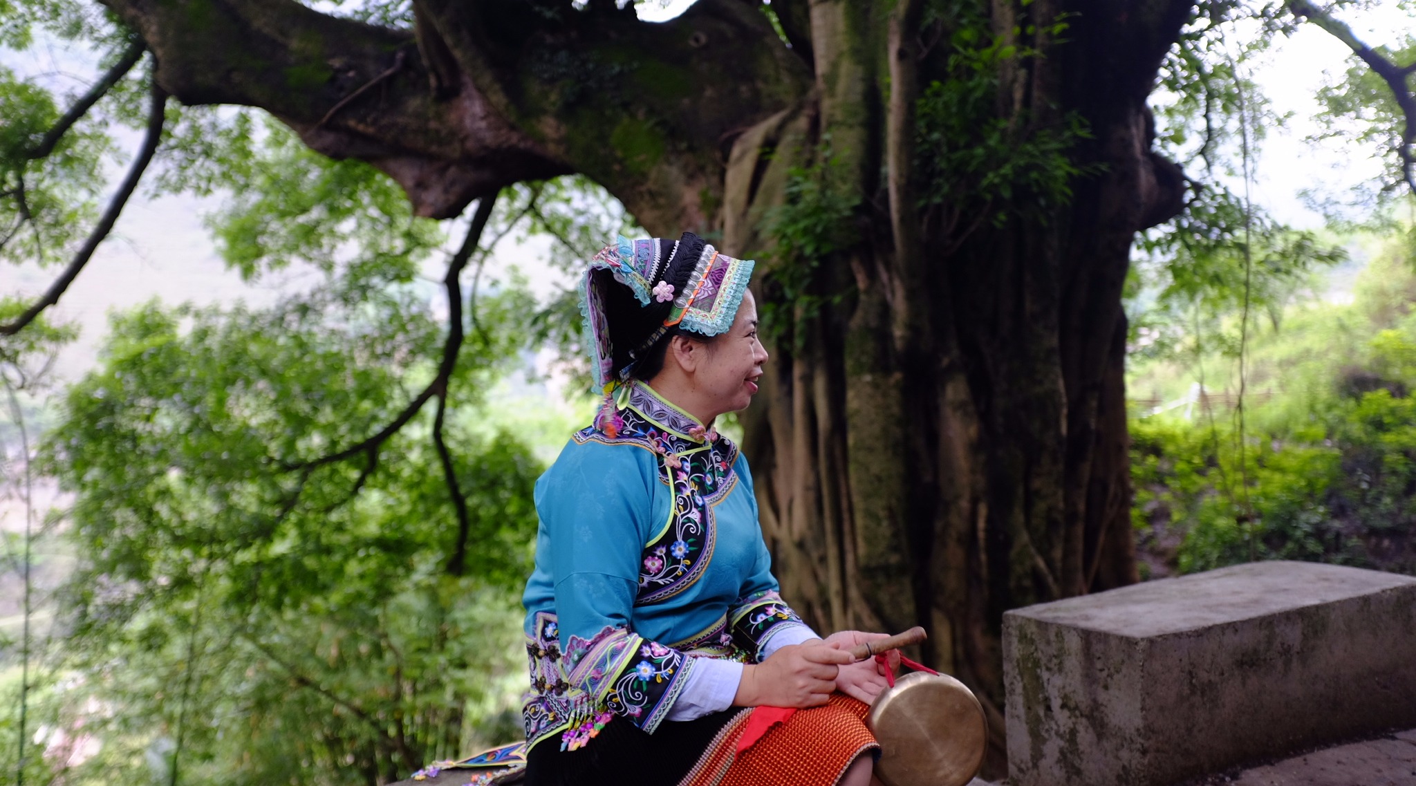 [图]去大榕树下 住 上 一 晚 如何