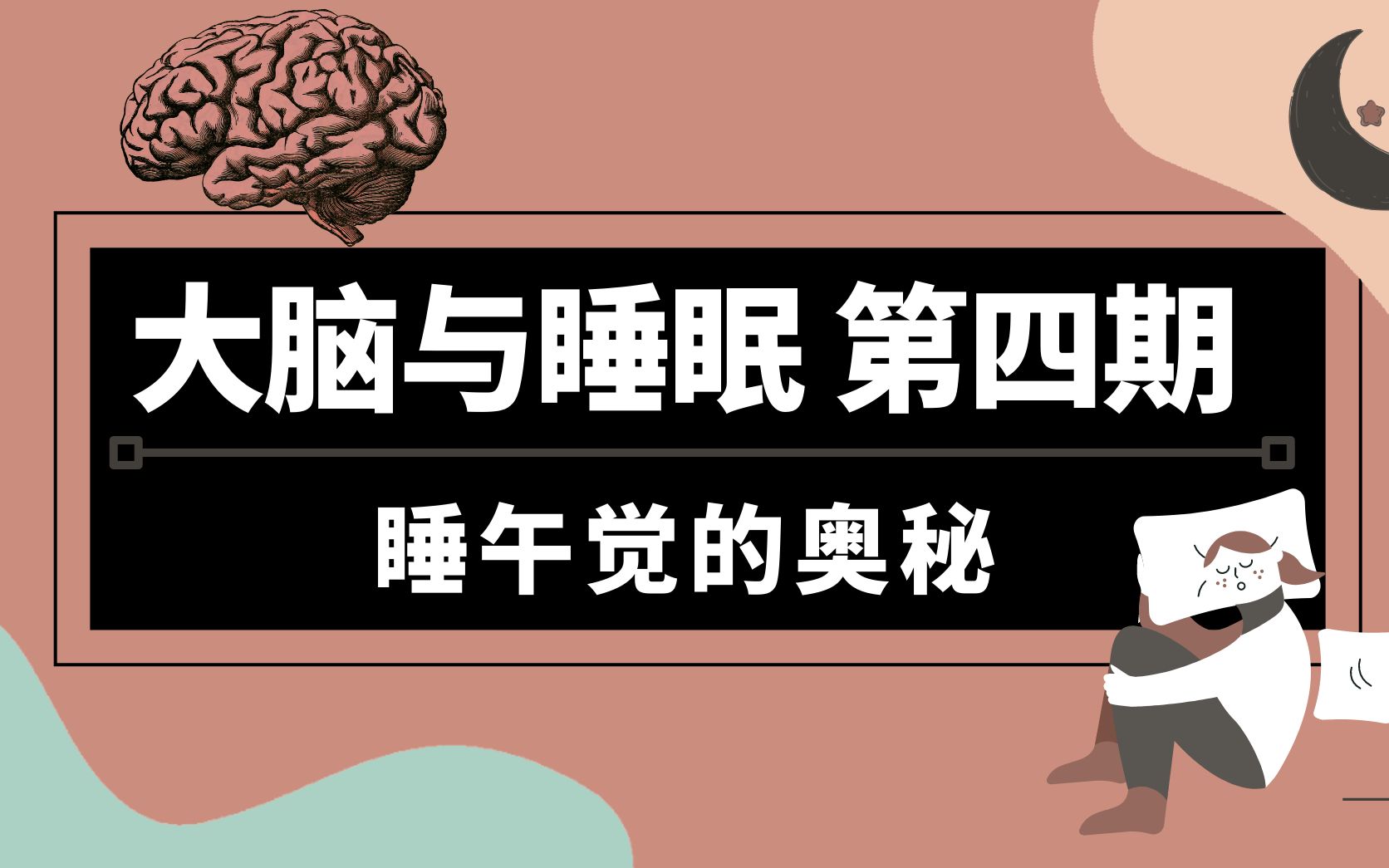 大脑与睡眠(第四期)| 你真的会睡午觉吗?记忆力进步?增加疾病风险?睡眠纺锤?几点睡 睡多长最好?哔哩哔哩bilibili