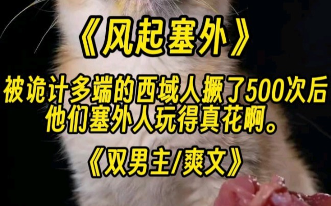 [图]【双男主】被诡计多端的西域人撅了500次后，他们塞外人玩的真花啊..