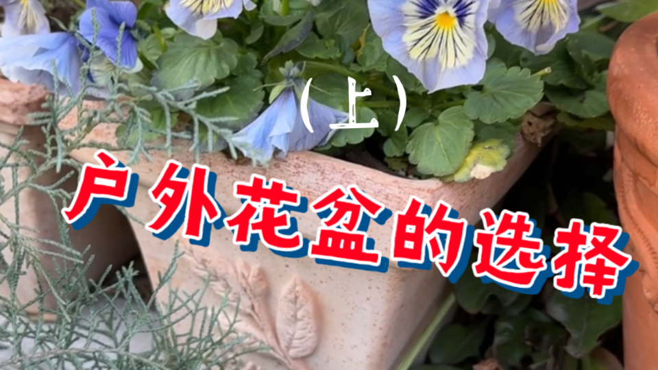 户外花盆的选择(上)哔哩哔哩bilibili