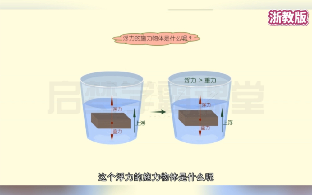 八年级上册科学1.3《水的浮力(一)》浙教版,暑假预习,提前学习,领跑新学期.科学逆袭,快速提分.哔哩哔哩bilibili