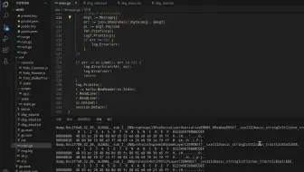 ida专业汇编逆向分析ubuntu系统使用vscode环境开发golang开发qt5游戏算法逆向
