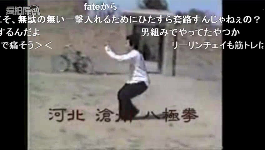 [图]N站弹幕 日本人看河北沧州八极拳