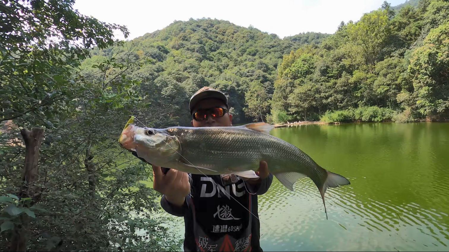 沁水张峰水库钓翘嘴图片