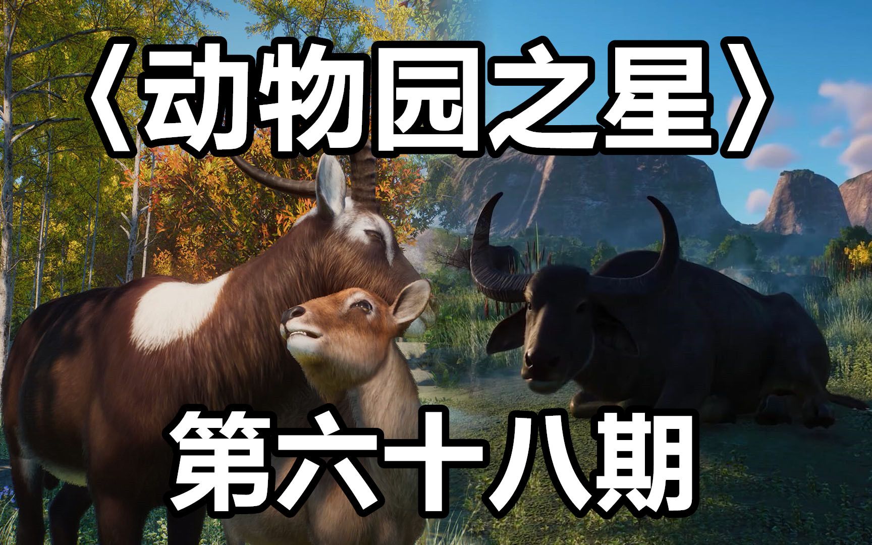《动物园之星》第六十八期_哔哩哔哩_bilibili