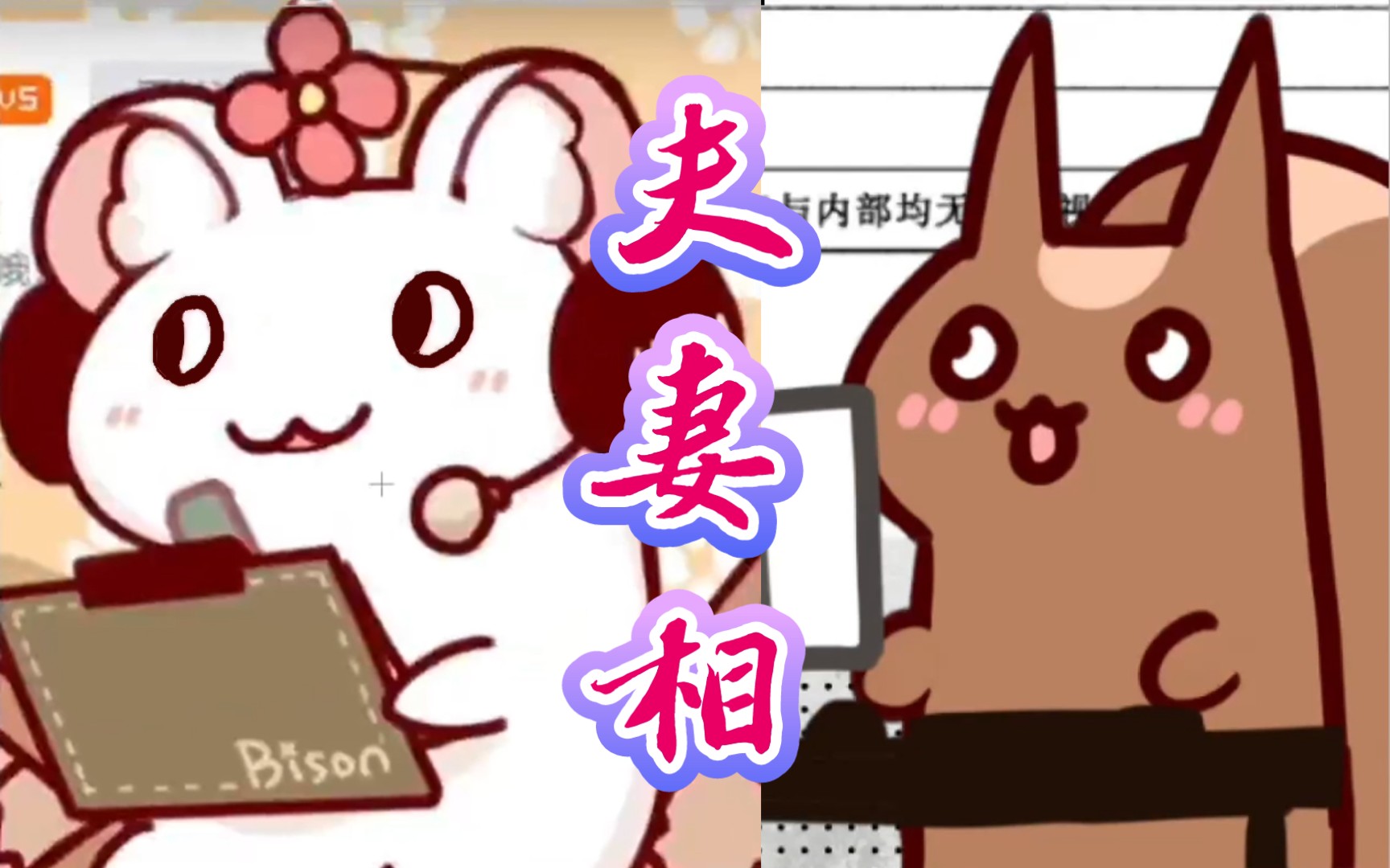 【bison仓鼠】夫妻相_哔哩哔哩_bilibili