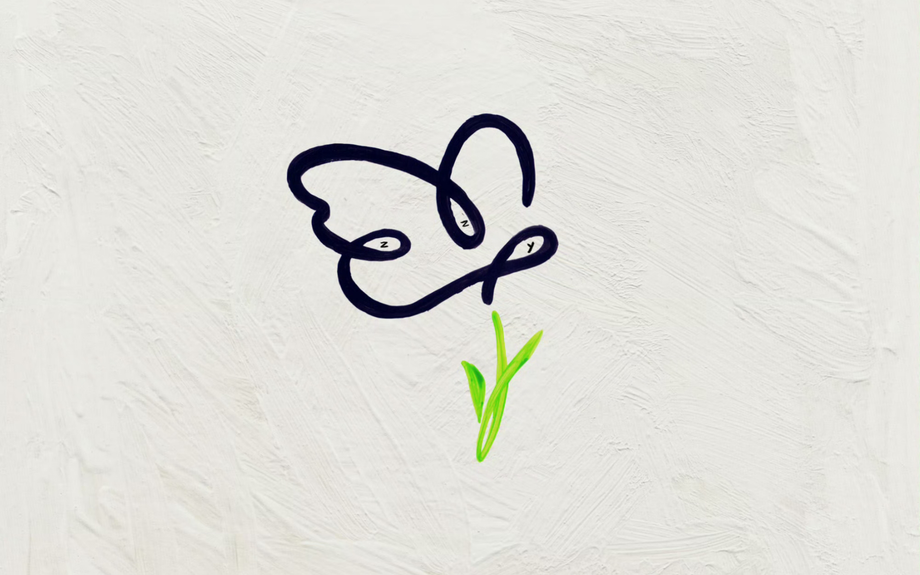 【张真源】受到偏爱的蝴蝶,放心去飞.