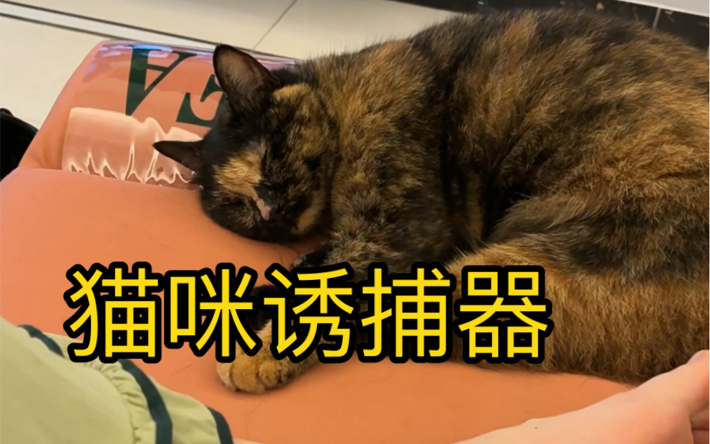 [图]《猫咪诱捕器》一段猫听了会闪现的声音