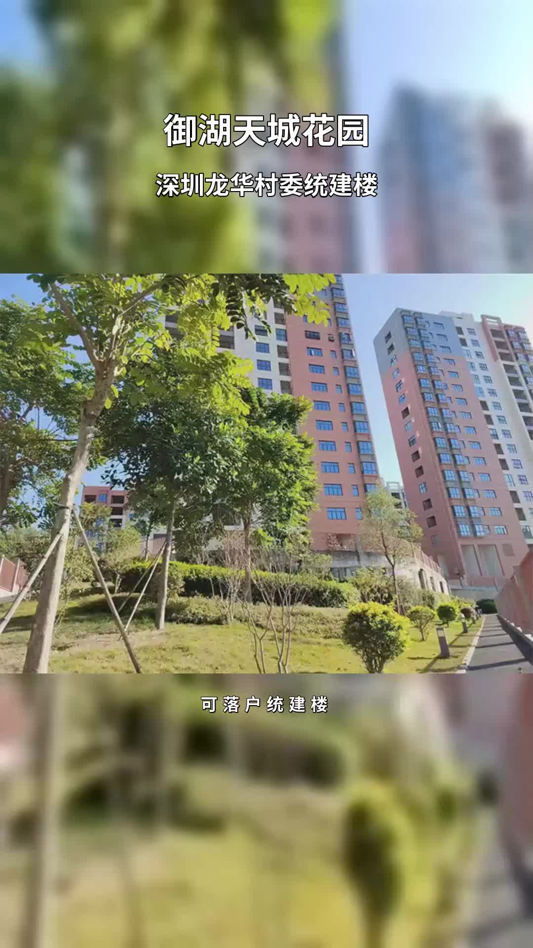 可落户统建楼13410221441深圳龙华村委统建楼均价2.5万每平,两房三房85至120平方米. #深圳龙华村委统建楼 #御湖天城哔哩哔哩bilibili