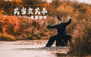 Download Video: 武当玄武拳，你若喜欢便跟我学吧