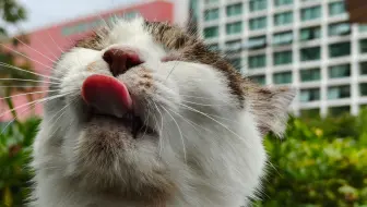 “我的毕业致谢有你的名字”