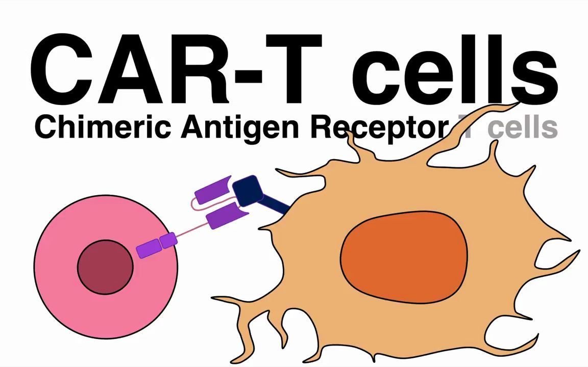 CART疗法原理 | 科学 CAR Tcell Therapy explained (Manufacturing process&how it works)哔哩哔哩bilibili