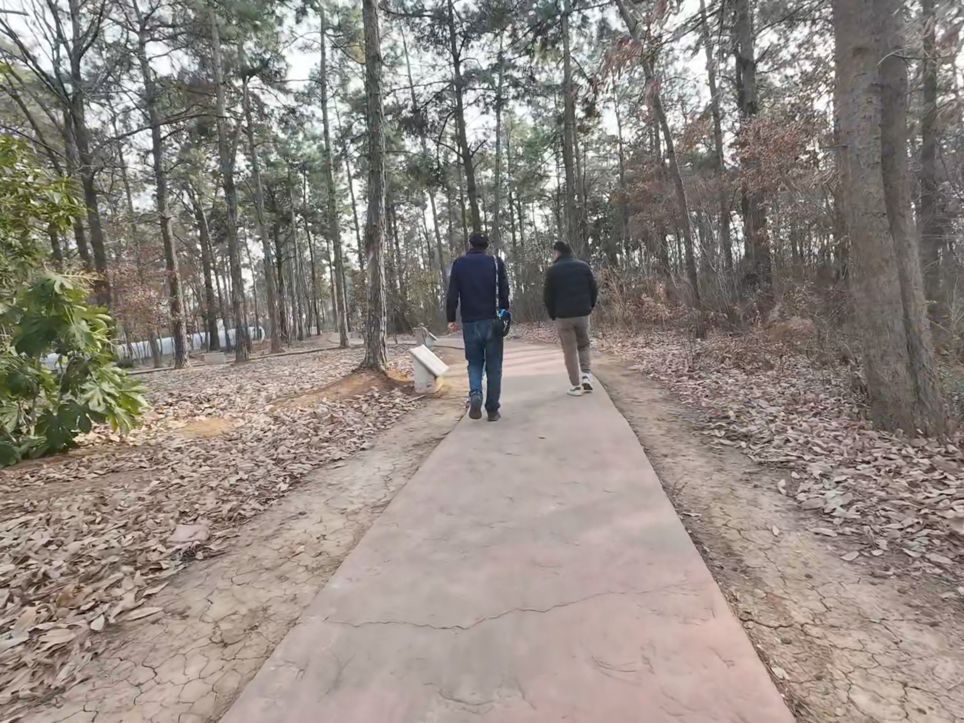 天长市釜山卧龙公园森林茂密,环境清幽,是一个旅游度假的好地方