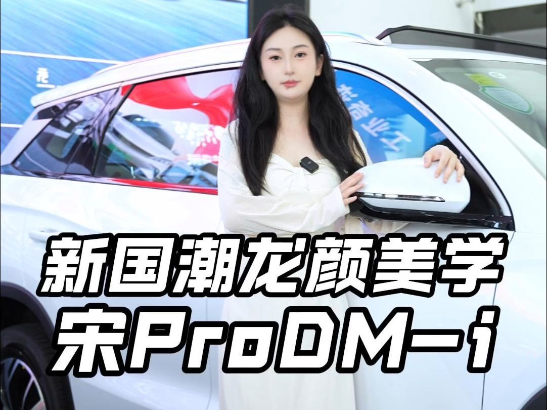 国庆假期出行首选SUV 宋ProDMi第二代哔哩哔哩bilibili