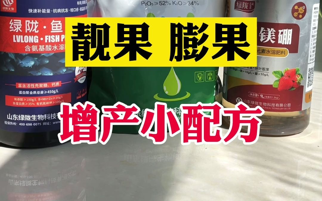 【三農】靚果膨果增產小配方,用了作物不愁賣不到一個好價格!