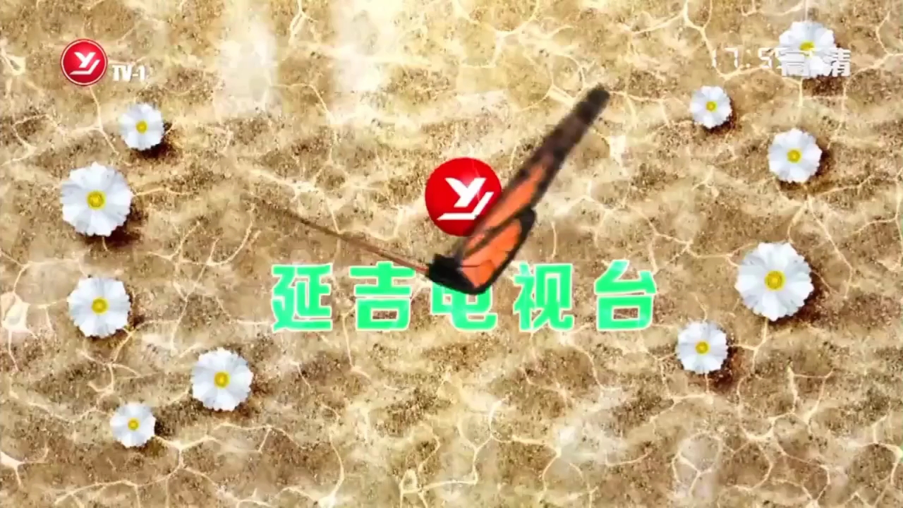 延吉新闻片头高清哔哩哔哩bilibili