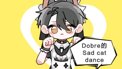 sad cat dance。_哔哩哔哩_bilibili