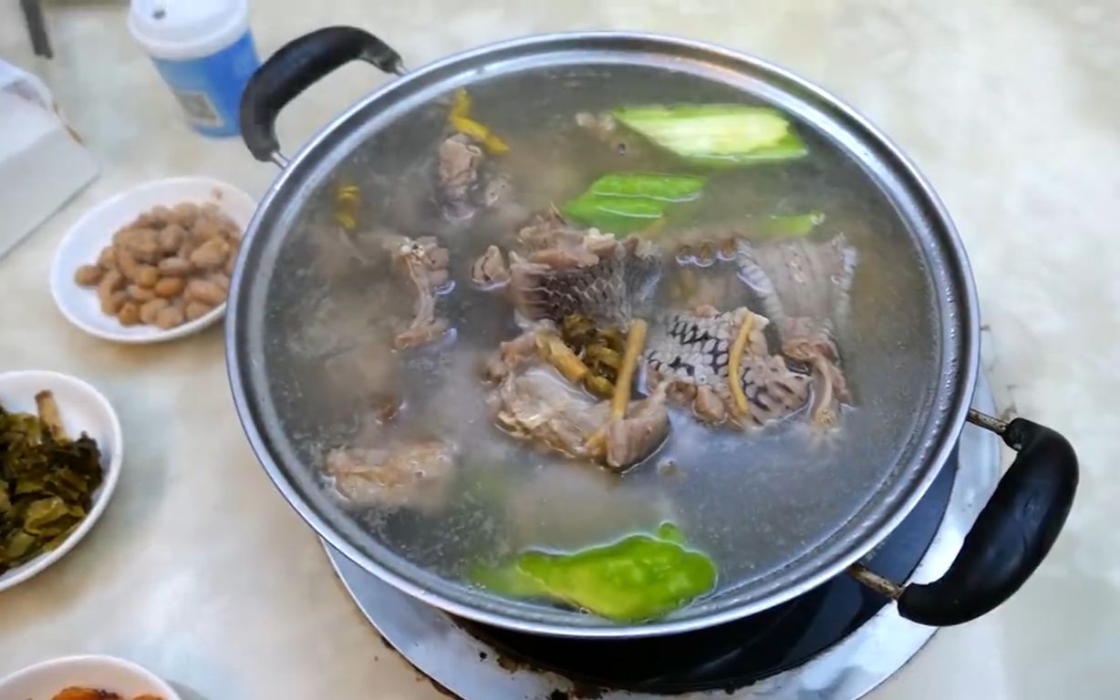 怕蛇慎点广东蛇肉火锅油管null