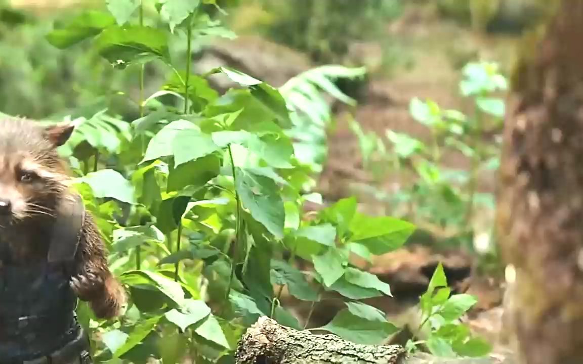 [图]盘点漫威清兵名场面，勇度：可以给我来杯水吗