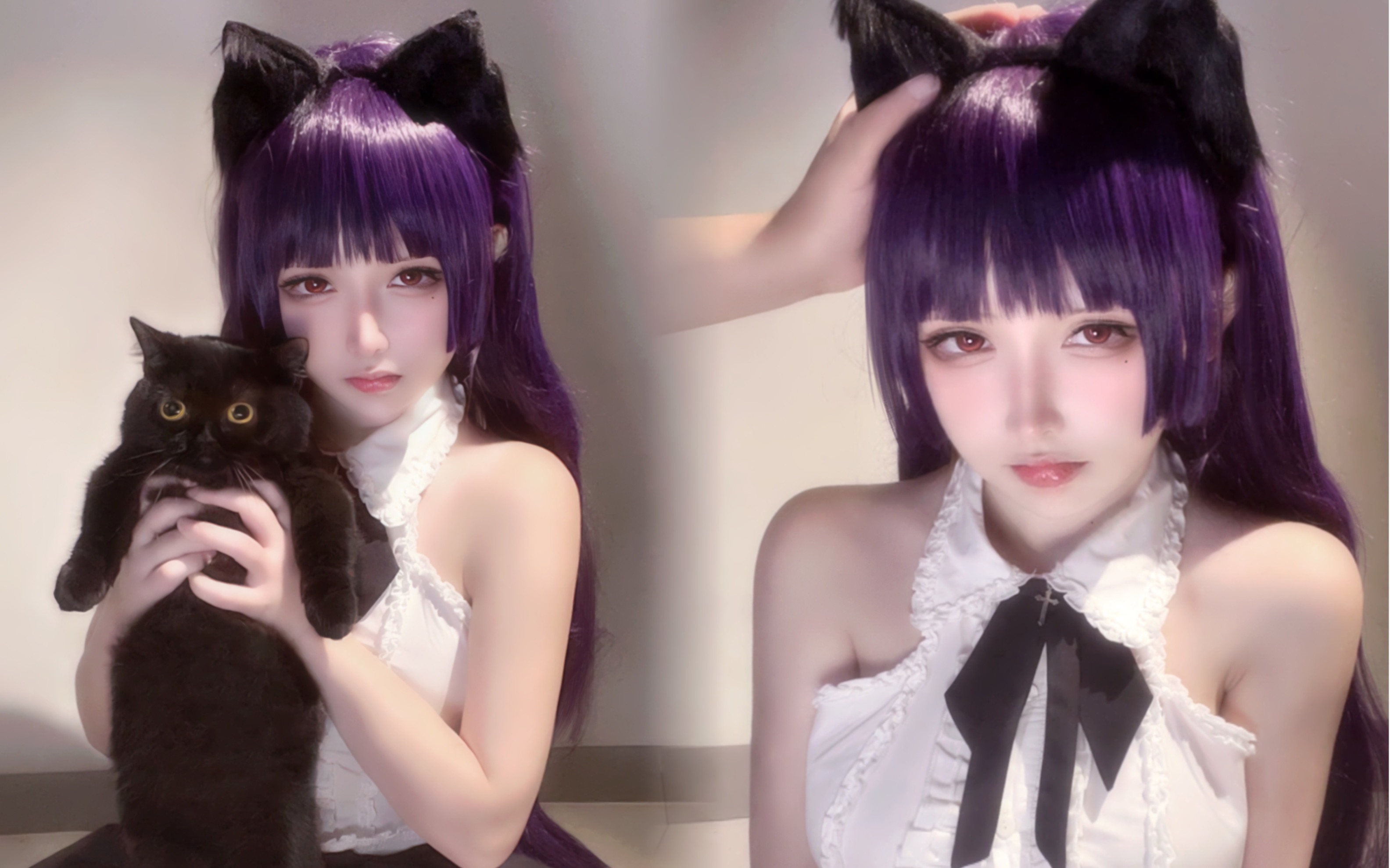 评价一下这只小猫 包玻璃心的-樱梨梨Eriri-樱梨梨Eriri-哔哩哔哩视频