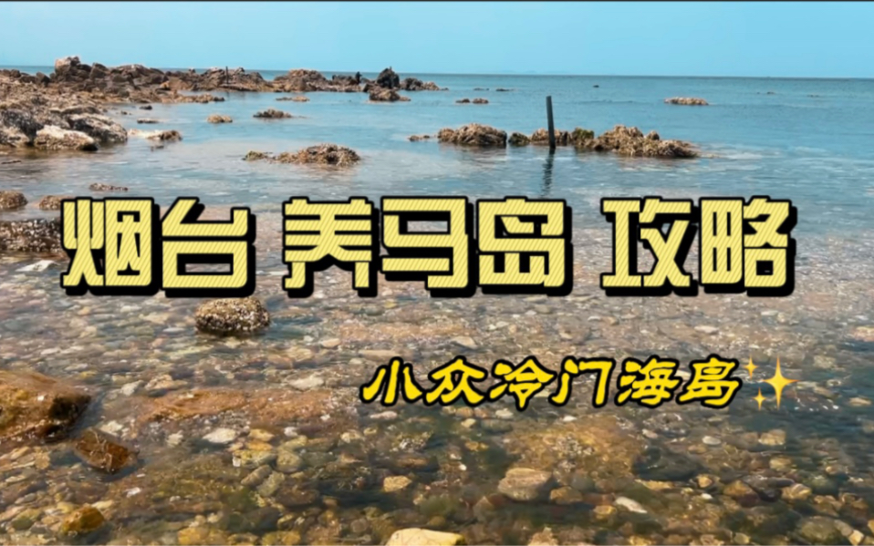 山东烟台冷门的海岛~养马岛旅游攻略来了,人少原生态适合放慢脚步慢慢玩哔哩哔哩bilibili