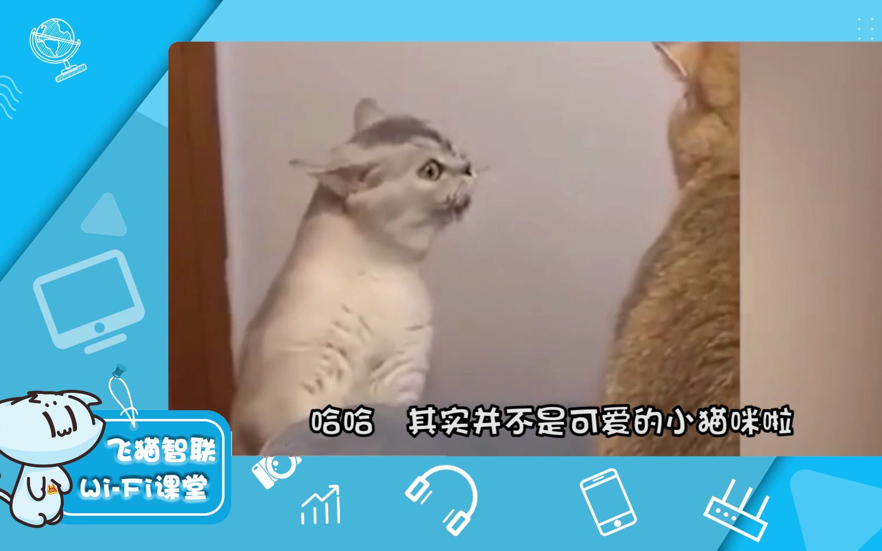 家里宽带网络常说的“猫”到底是什么意思?哔哩哔哩bilibili