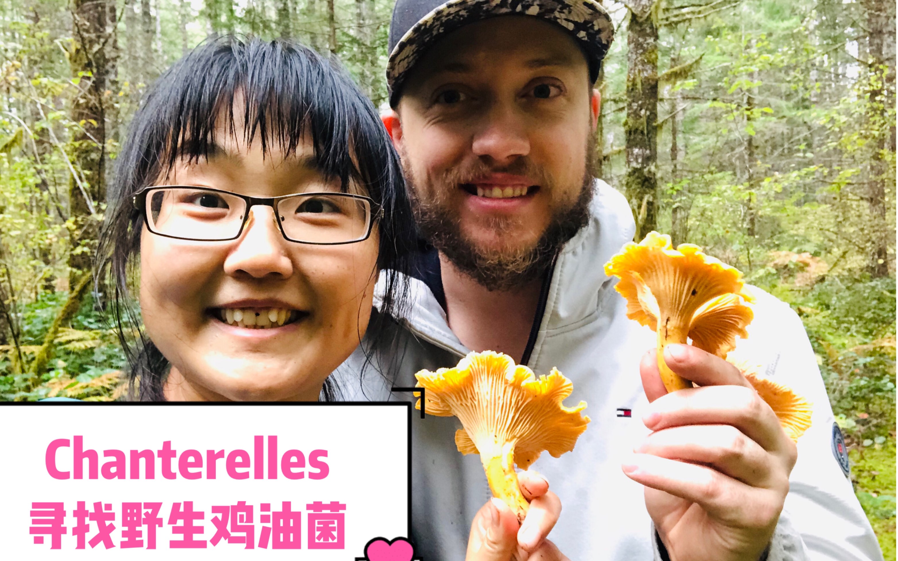 如何寻找野生鸡油菌Chanterelles?像鸡肉的蘑菇!采摘野生蘑菇.如何辨别真假鸡油菌?味道鲜美颜色亮丽黄金鸡油菌 加拿大温哥华岛野生蘑菇 中英文字幕...