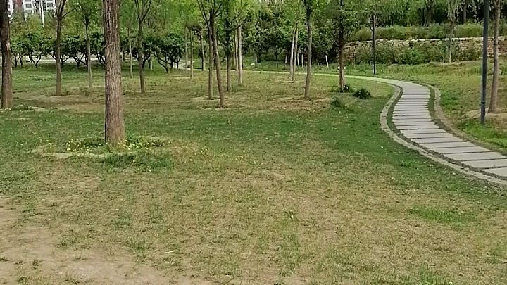 西小口公園