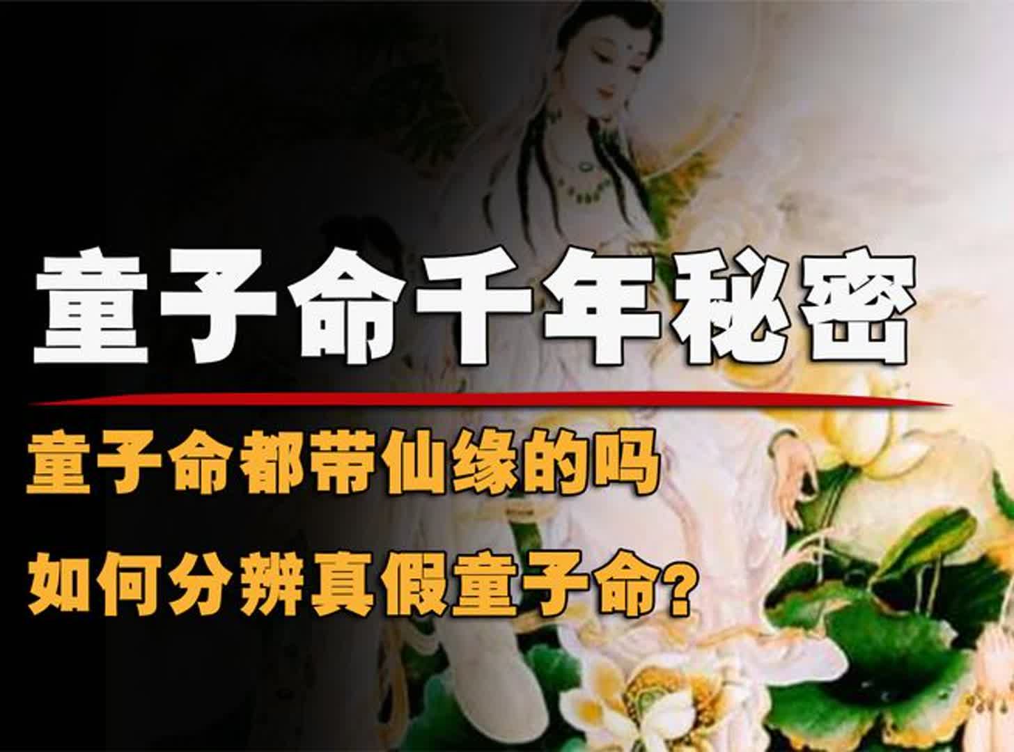 童子命都带仙缘的吗?如何分辨真假童子命?揭秘童子命千年秘密!哔哩哔哩bilibili