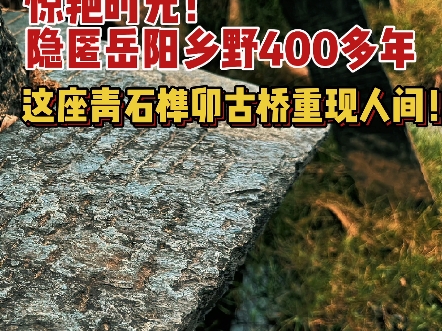 惊艳时光!隐匿岳阳乡野400多年!这座青石榫卯古桥重现人间!哔哩哔哩bilibili