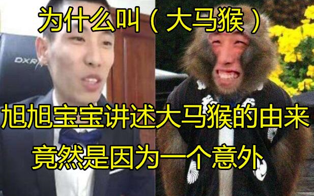 旭旭宝宝讲述大马猴的由来!为什么宝哥被叫大马猴!回顾哔哩哔哩bilibili