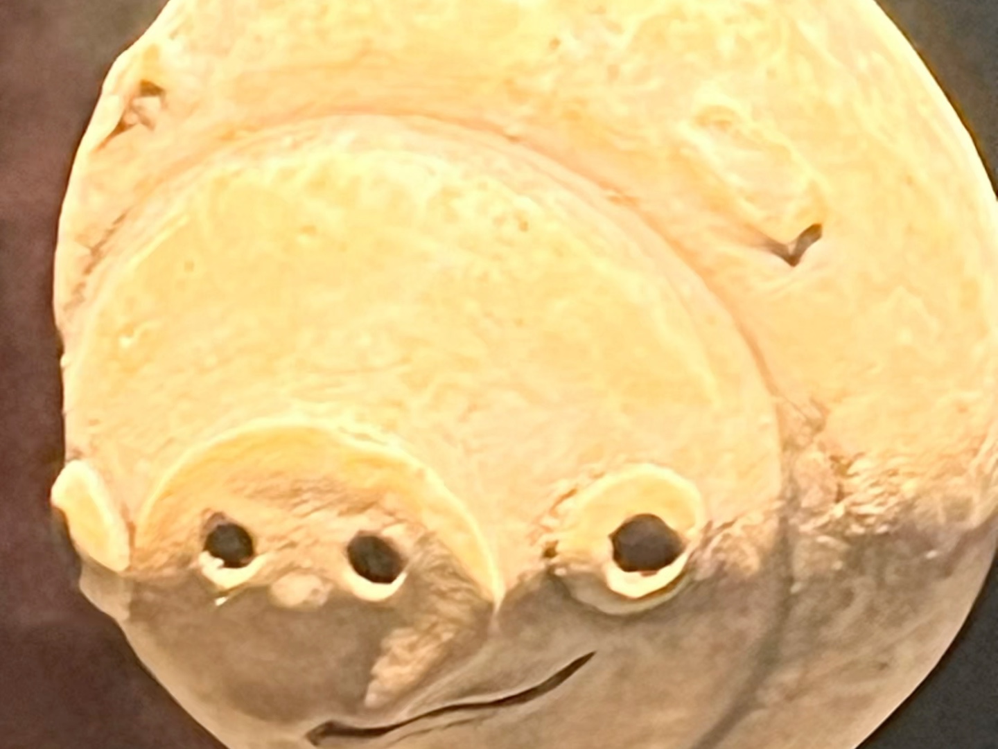 关于三星堆挖出了愤怒的小鸟