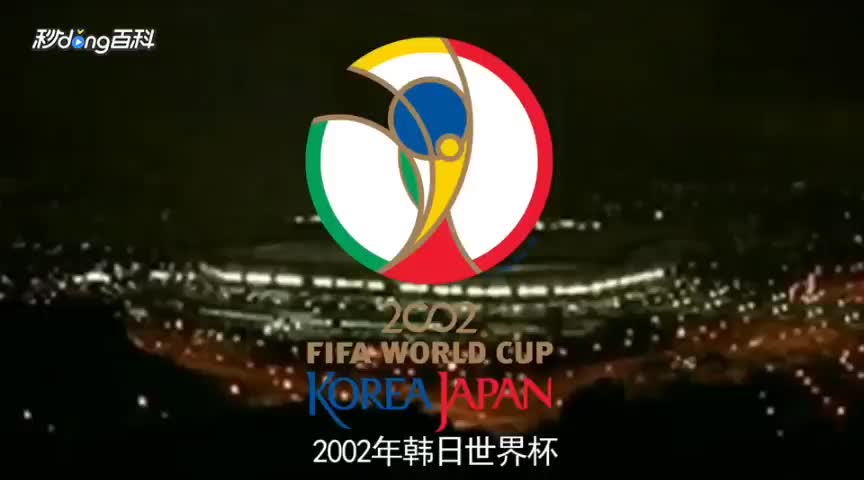 年韩日世 界杯 历史经典相关图片3