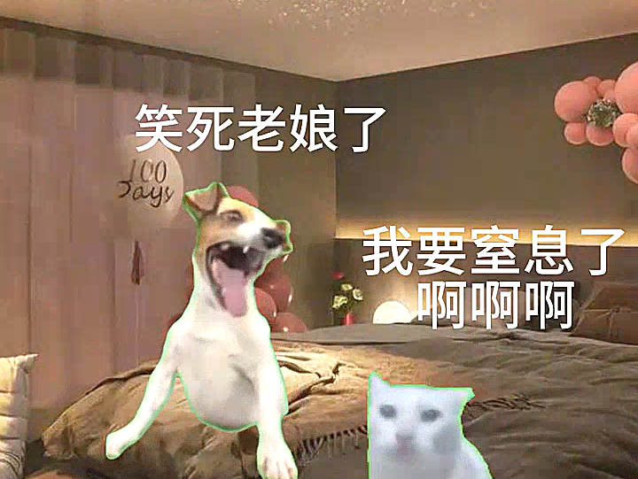 当女朋友放屁时哔哩哔哩bilibili