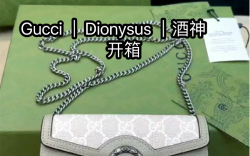 [图]Gucci ｜Dionysus 酒神包 ｜开箱